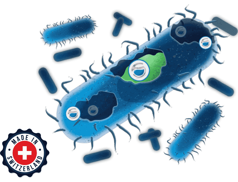 Illustratie van Sanosil Ag-moleculen die een bacterie vernietigen